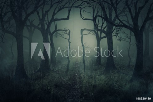 Picture of Forest and cross
